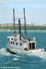 ID 2339 CAPE BARON - a diving/whalewatching/fishing boat operated by Deep Blue Diving of Nukualofa, Tonga, seen here in Auckland, New Zealand.